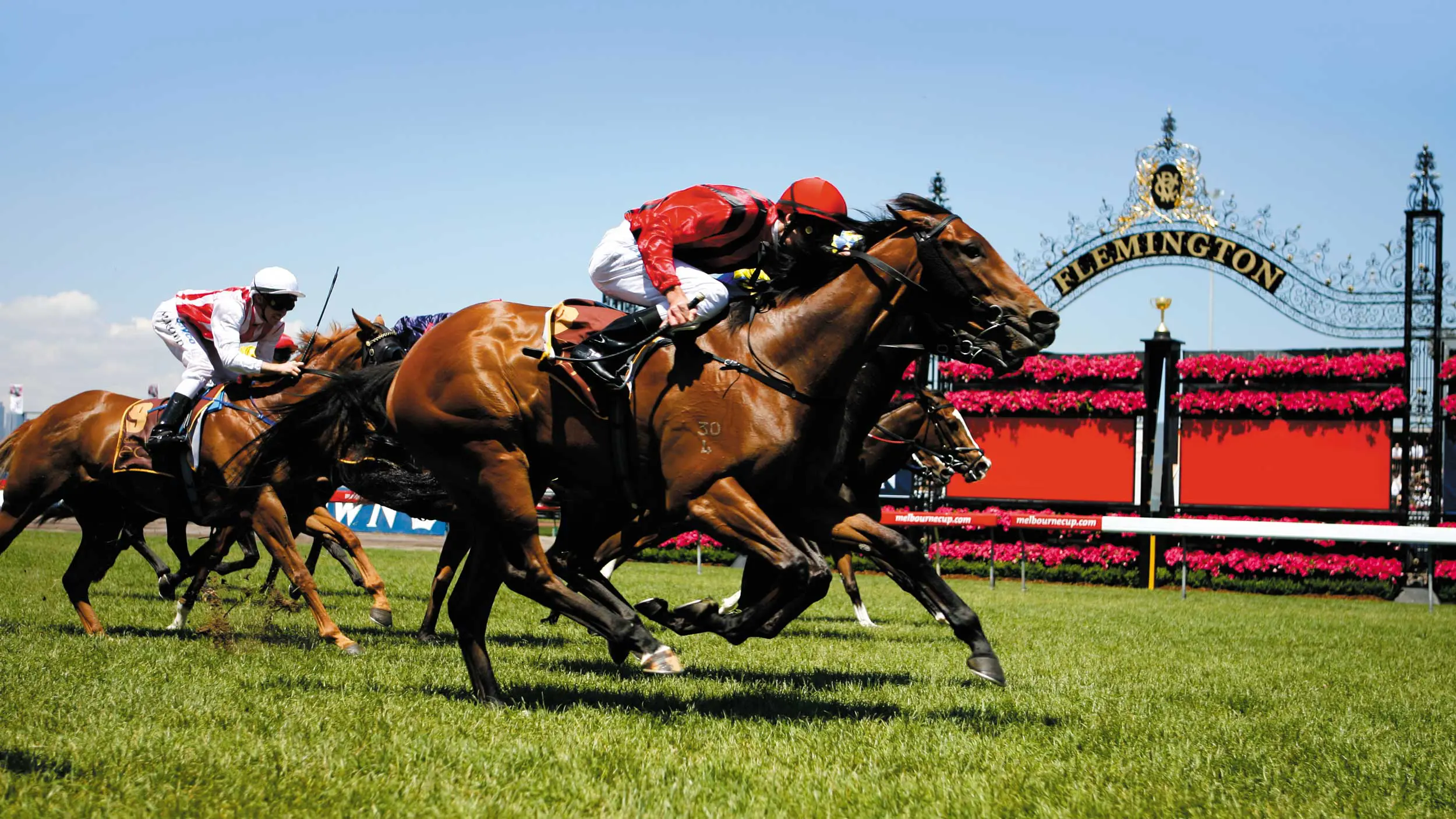 Melbourne Cup Holiday