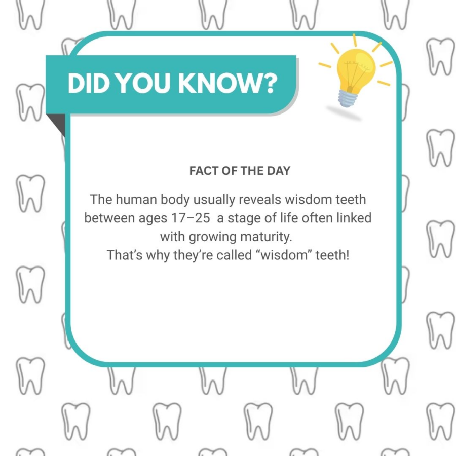 Funfact