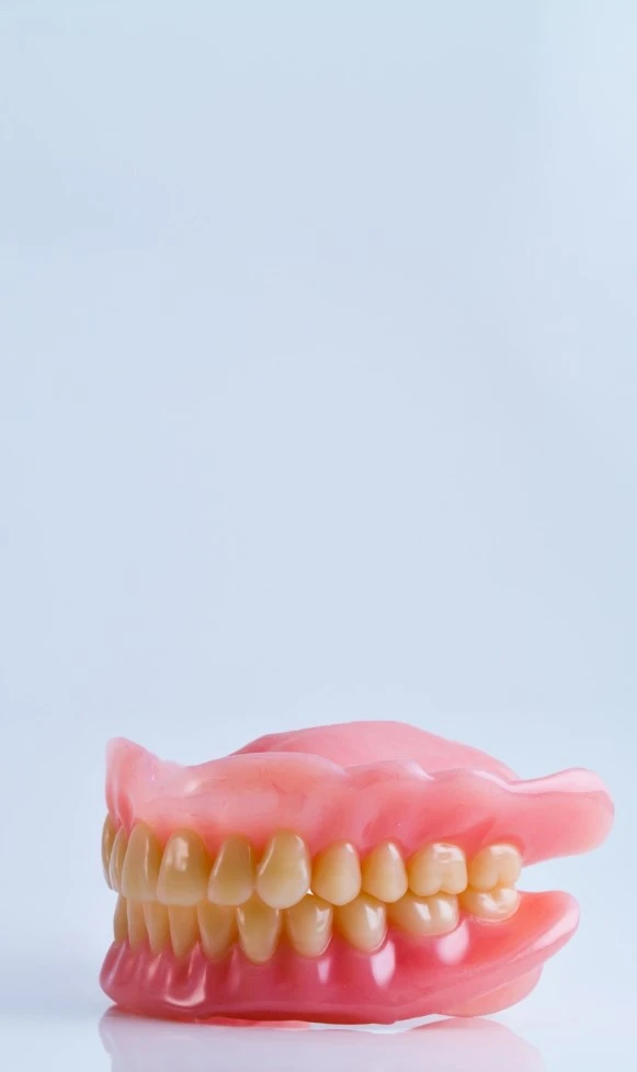 Full Denture Teeth Plate Model